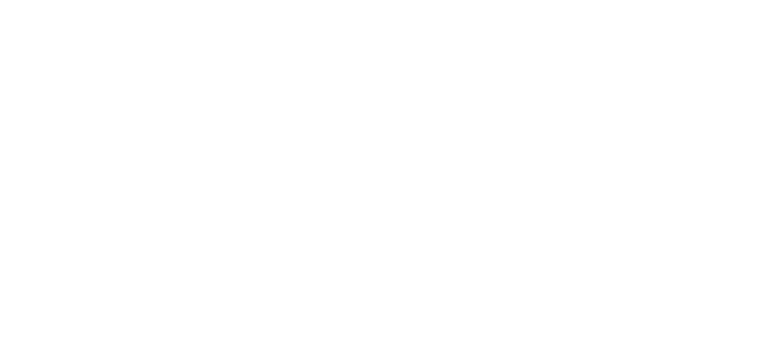 ZEMI Festival type logo